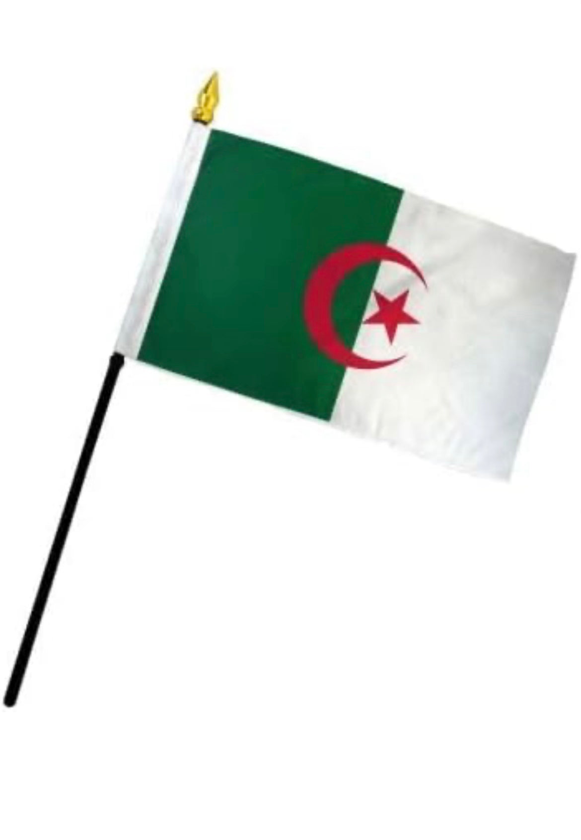 Small Algeria Flag