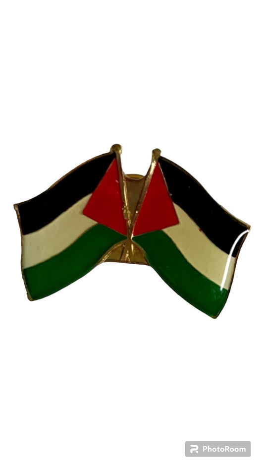 Palestine Pin