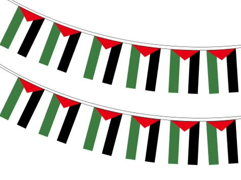 20 Piece Hanging Palestine Flag