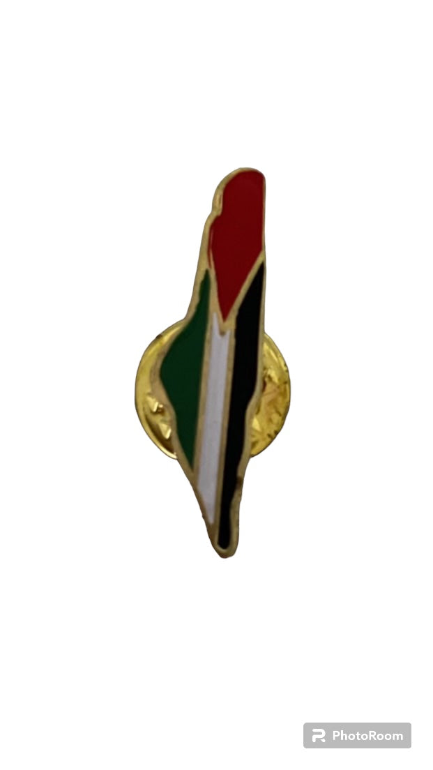 Palestine Pin