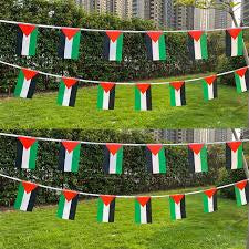 20 Piece Hanging Palestine Flag