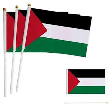 Small Palestine Flag