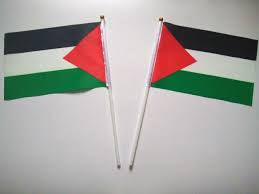 Small Palestine Flag